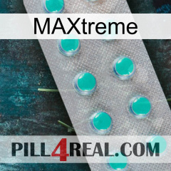 Maxtreme 28